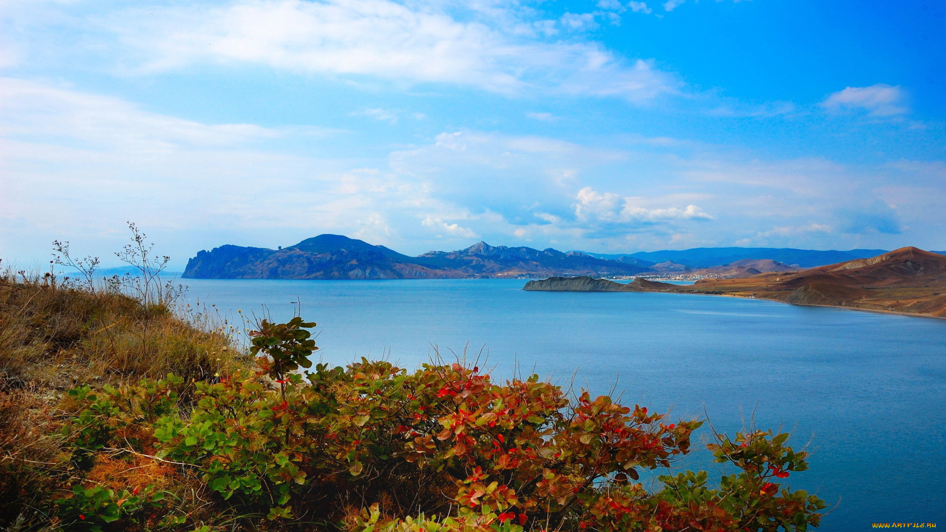 мисхор, крым, природа, побережье, море