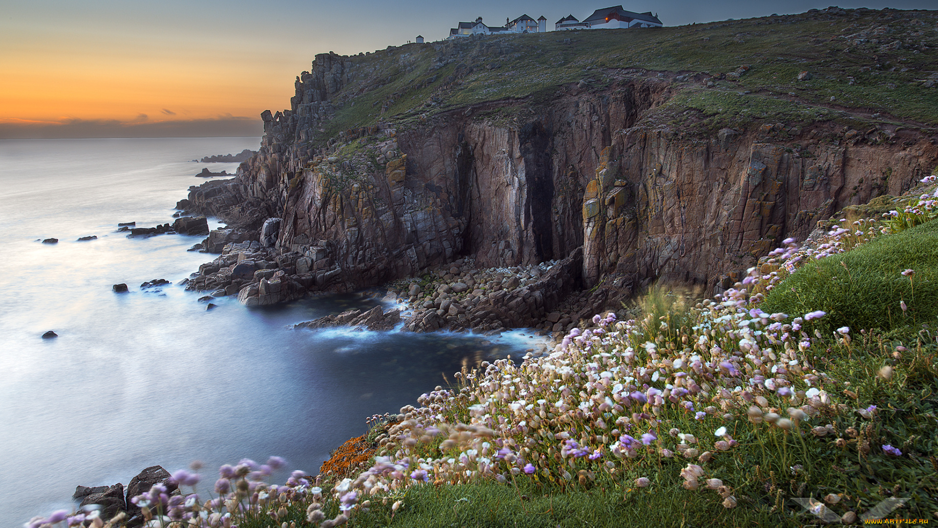 природа, побережье, цветы, луг, тиава, крутой, берег, океан