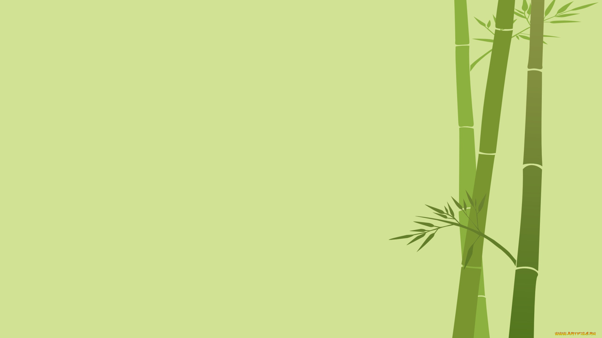 рисованные, минимализм, бамбук