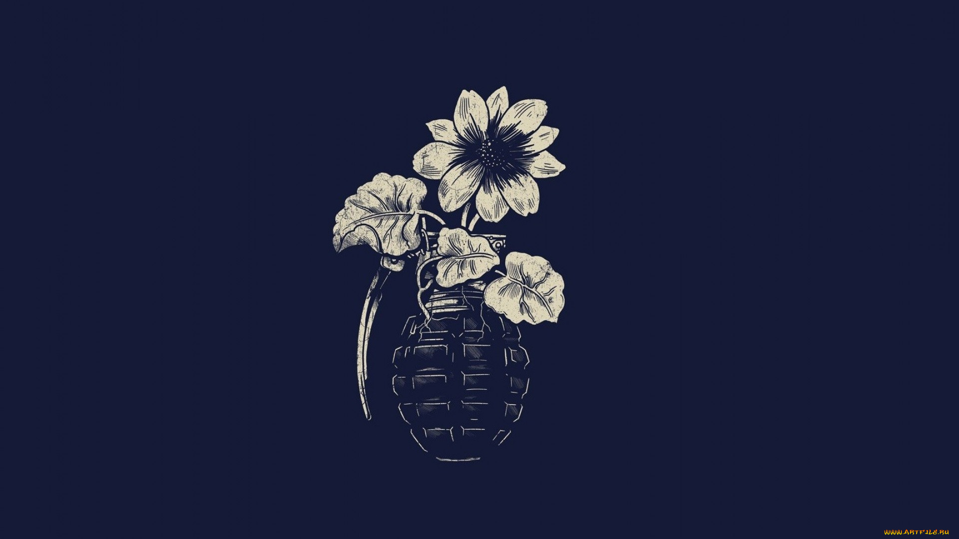 рисованные, минимализм, цветы, граната