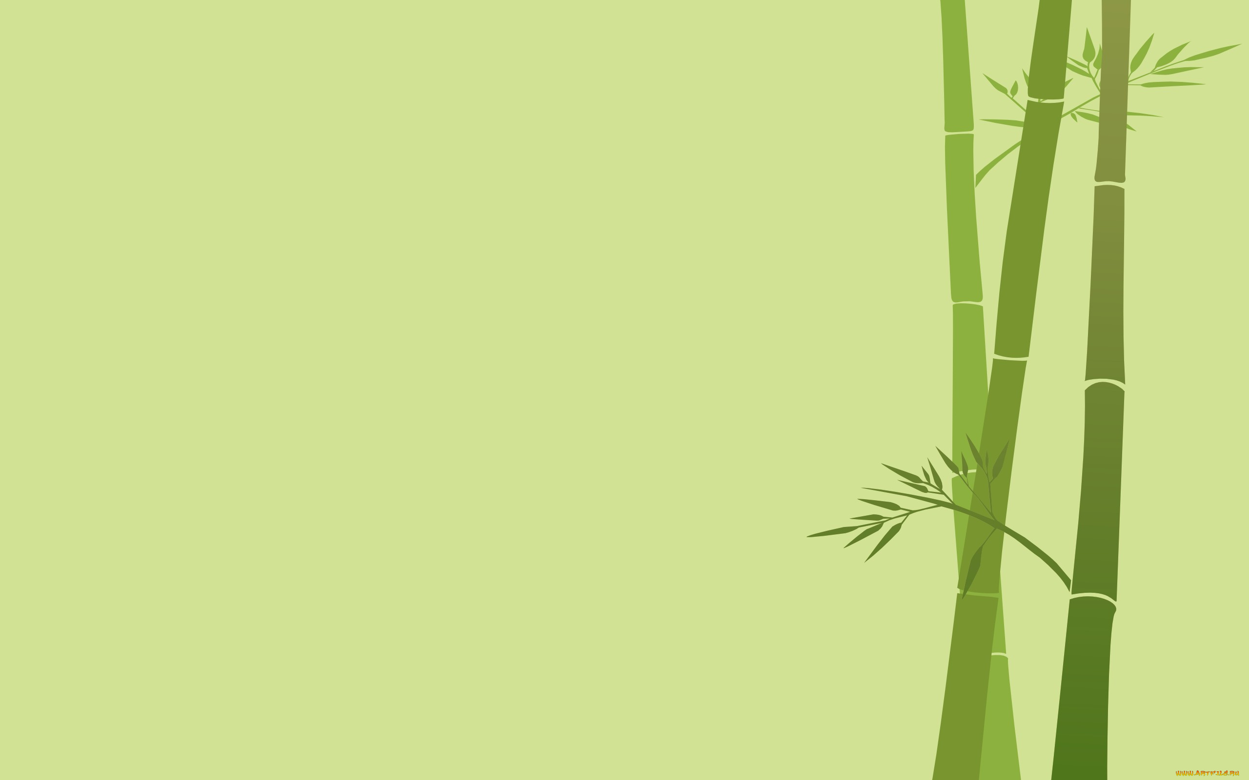 рисованные, минимализм, бамбук