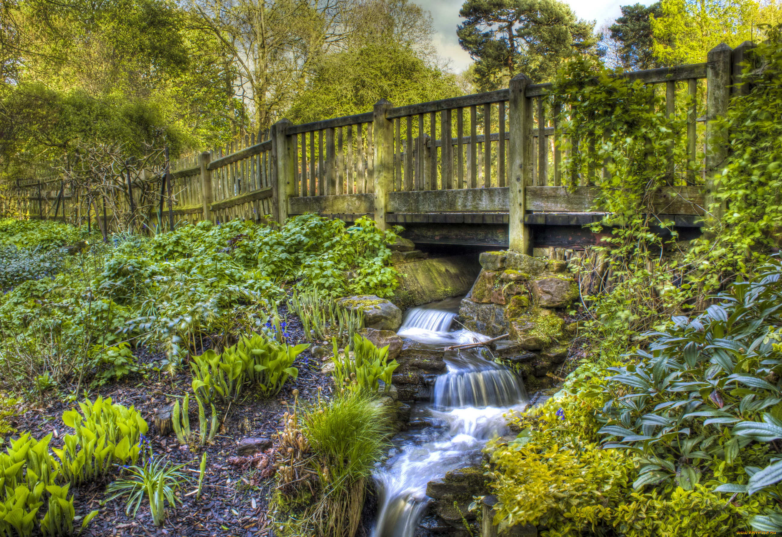 golders, hill, park, london, природа, парк, водопад, растения, мост