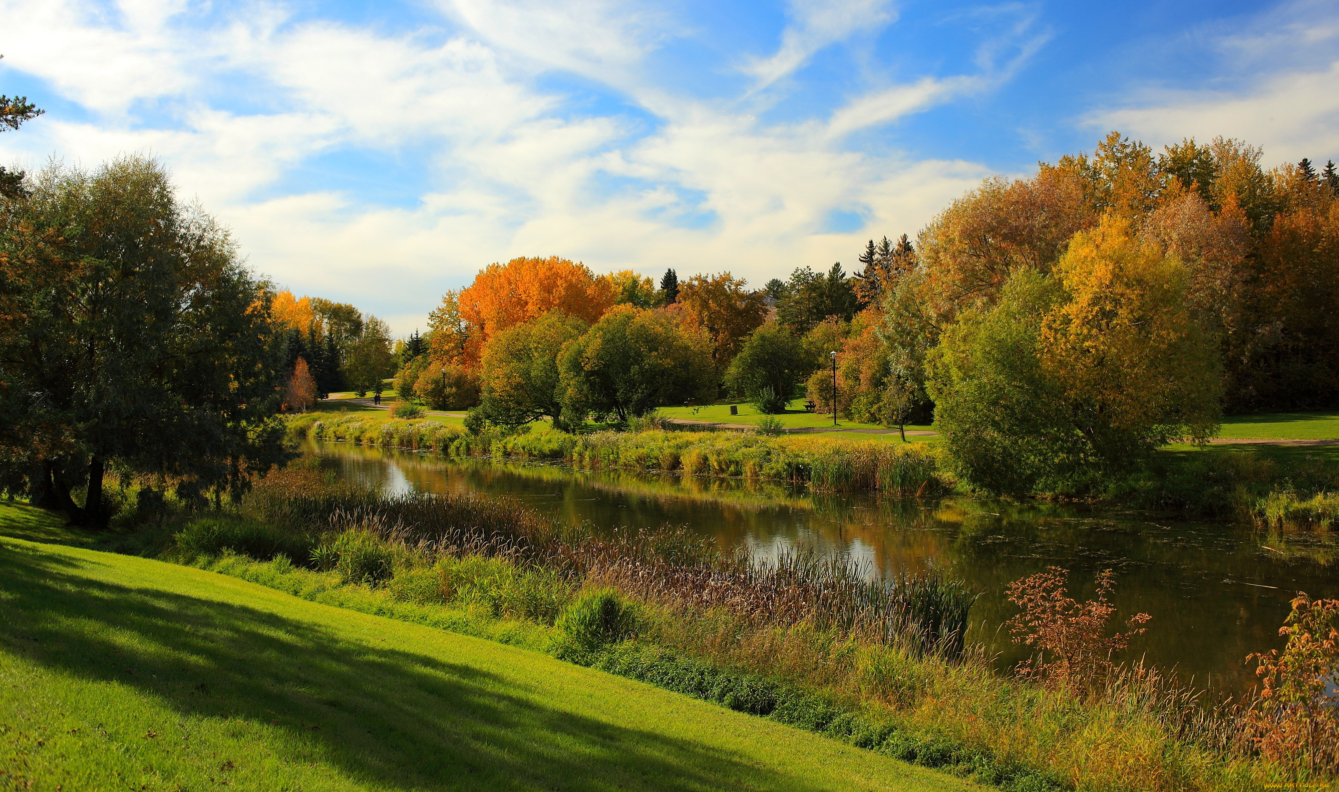 alberta, канада, природа, реки, озера, река, деревья, побережье
