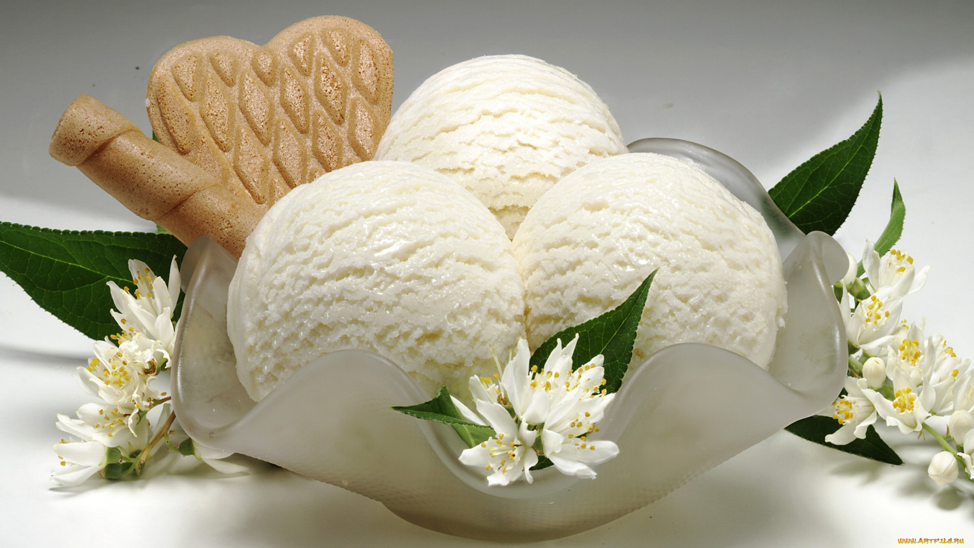 еда, мороженое, , десерты, sweet, ice, cream, dessert, цветы, сладкое, десерт