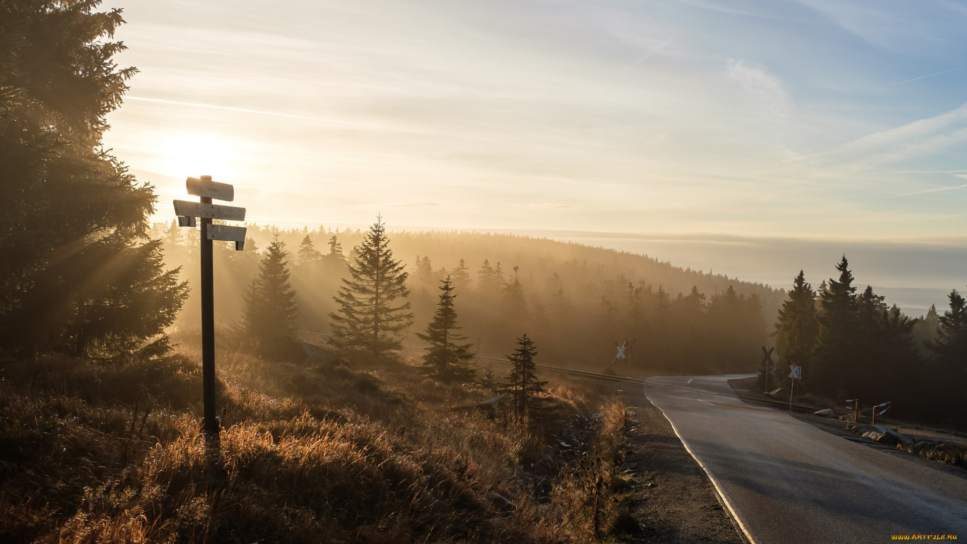 природа, дороги, утро, туман, дорога, пейзаж