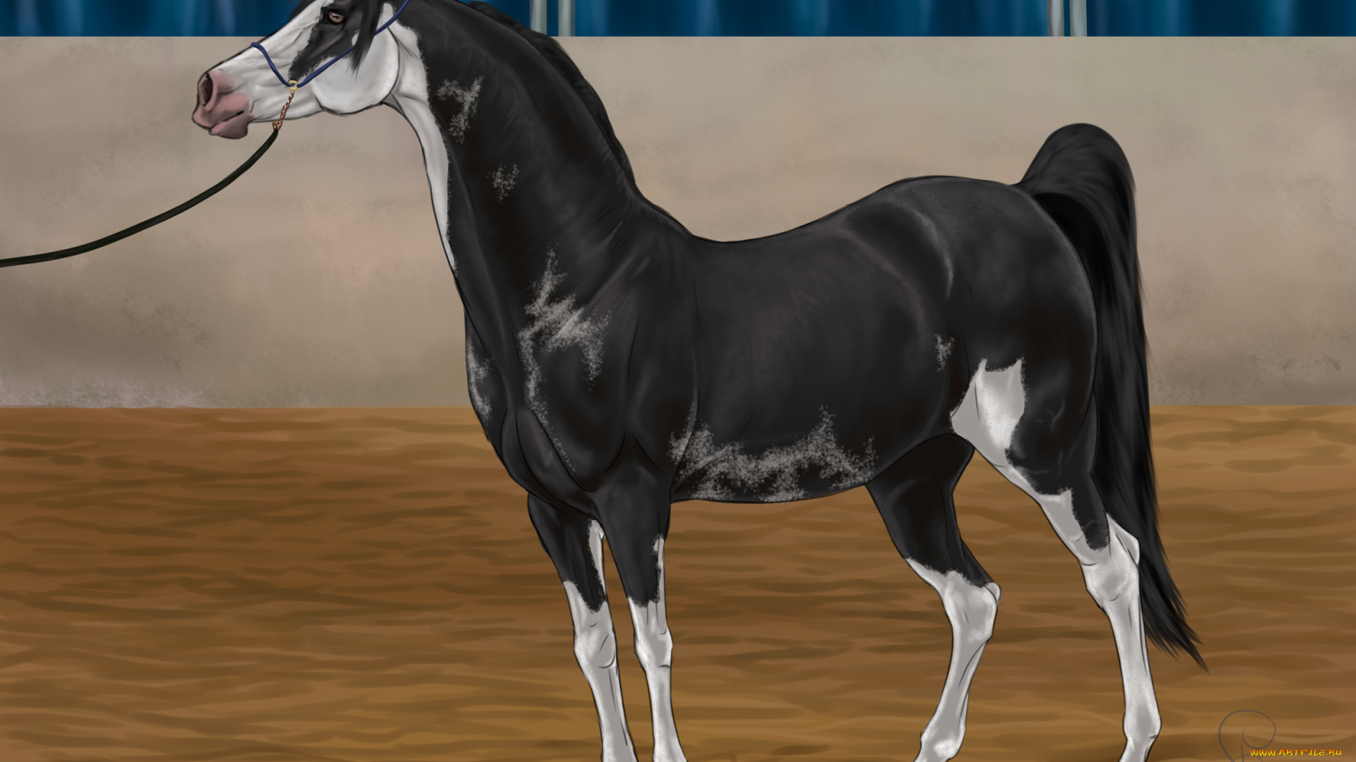 рисованное, животные, , лошади, фон, лошадь