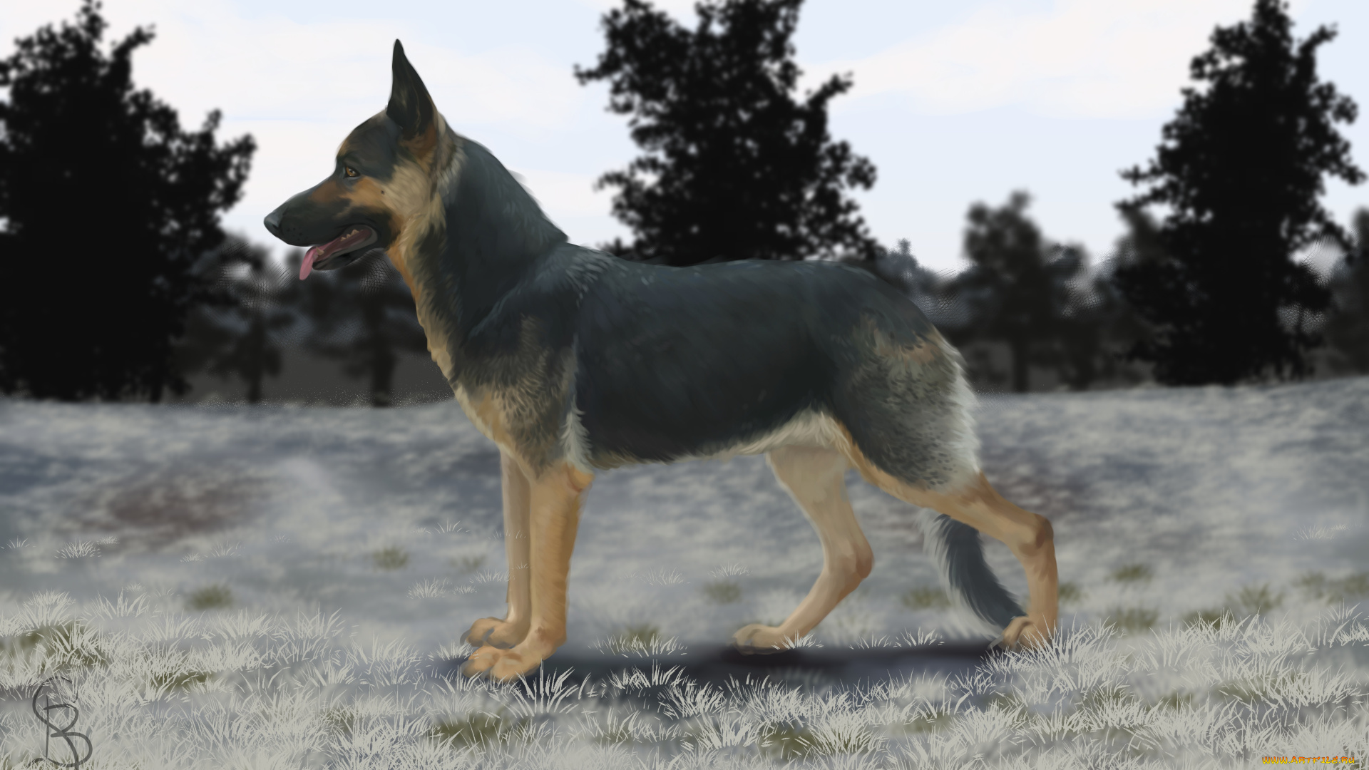 рисованное, животные, , собаки, взгляд, собака, фон