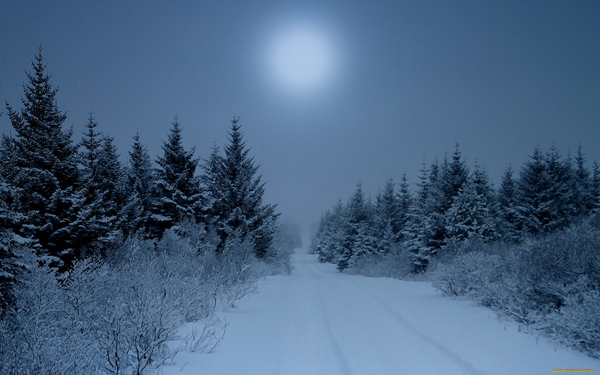 природа, зима, солнце, дорога, снег, лес