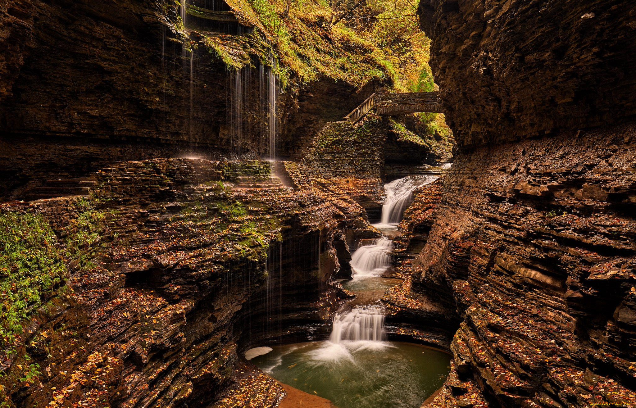 природа, водопады, лес, река, водопад