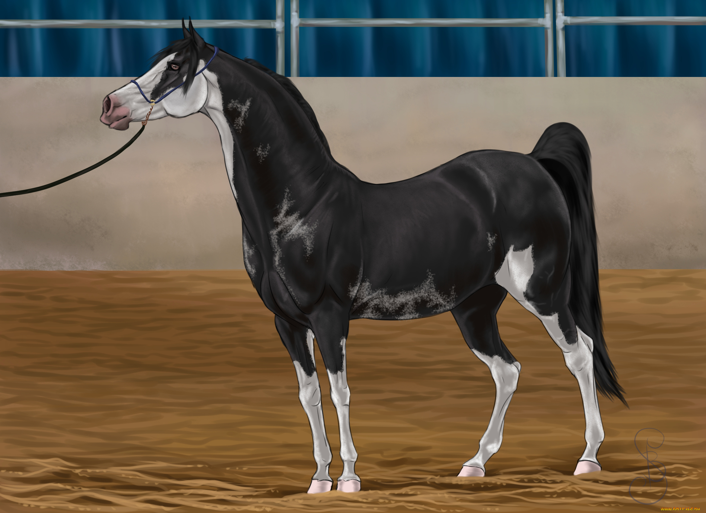 рисованное, животные, , лошади, фон, лошадь