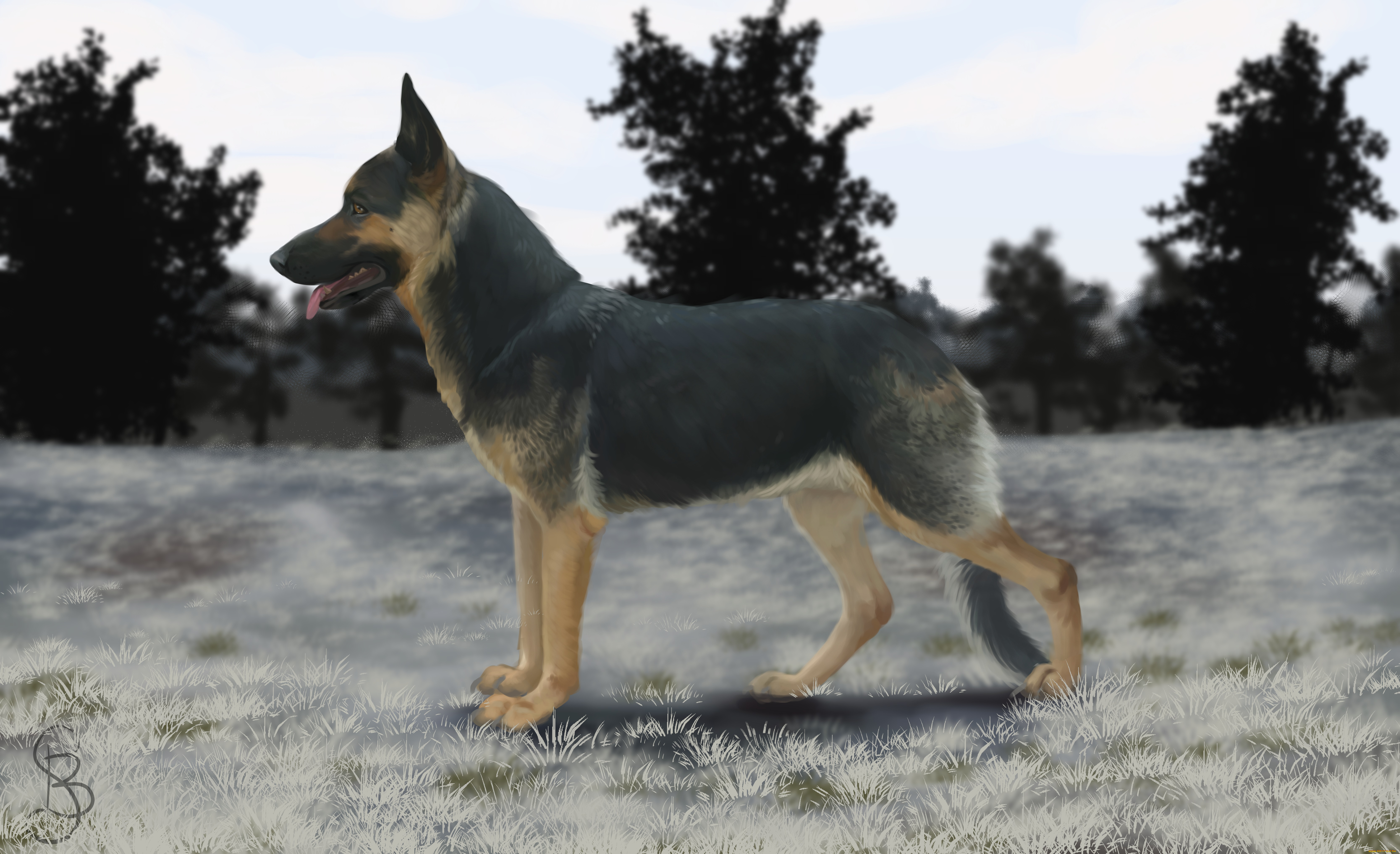 рисованное, животные, , собаки, взгляд, собака, фон