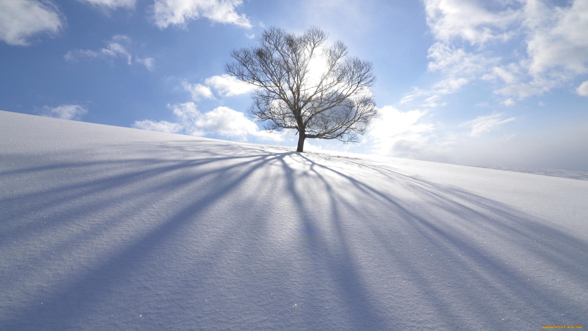 природа, зима, тень, облака, снег, лучи, дерево