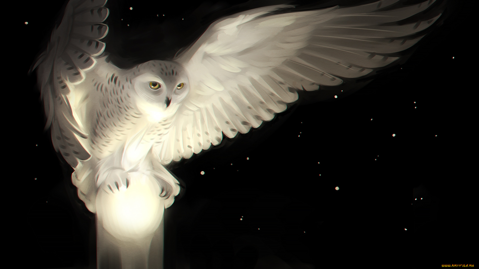 рисованное, животные, , птицы, , совы, , филины, сова