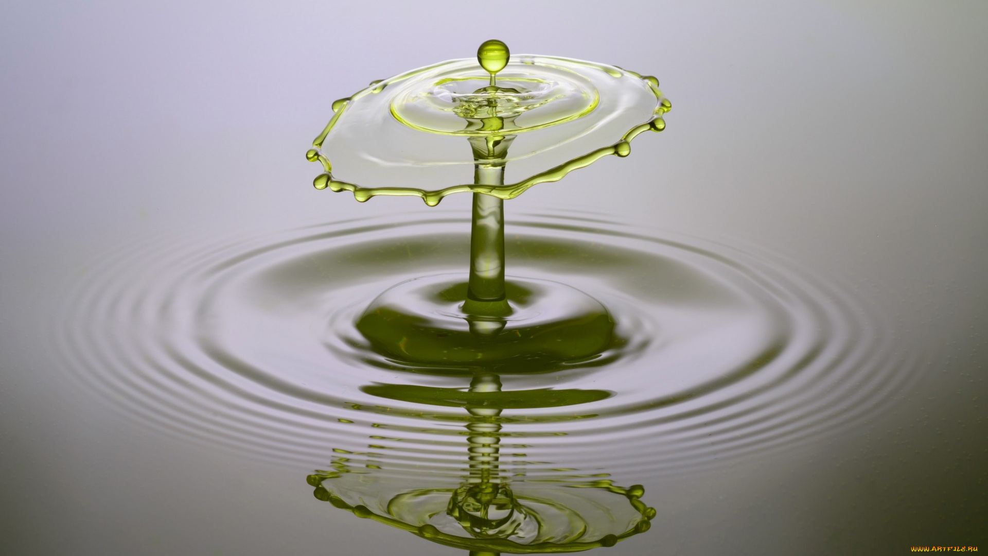 3д, графика, другое, , other, капли, брызги, жидкость, всплеск, круги