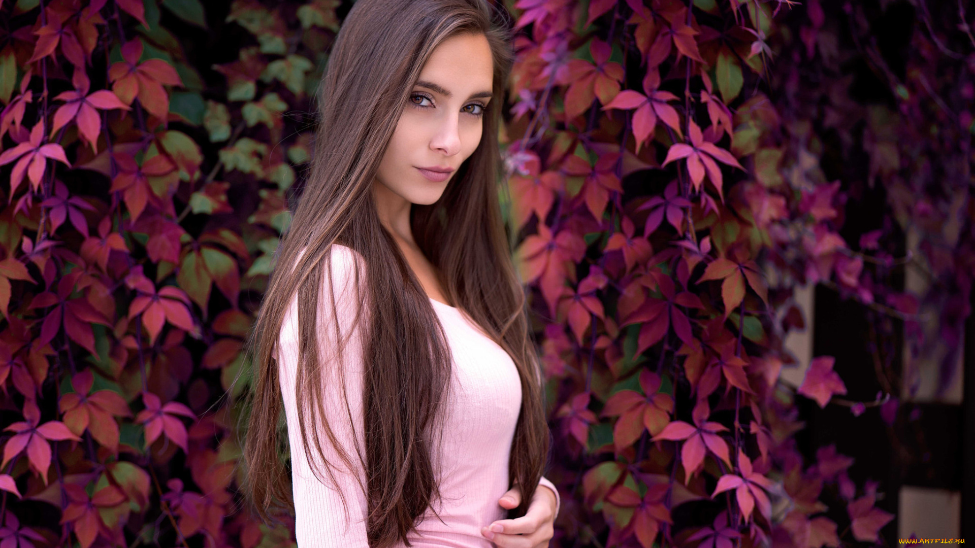 девушка, девушки, -unsort, , брюнетки, темноволосые, брюнетка