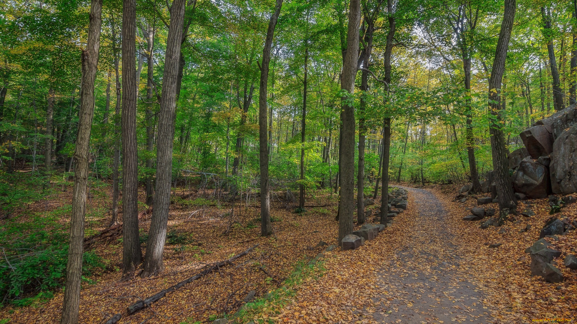 природа, дороги, простор