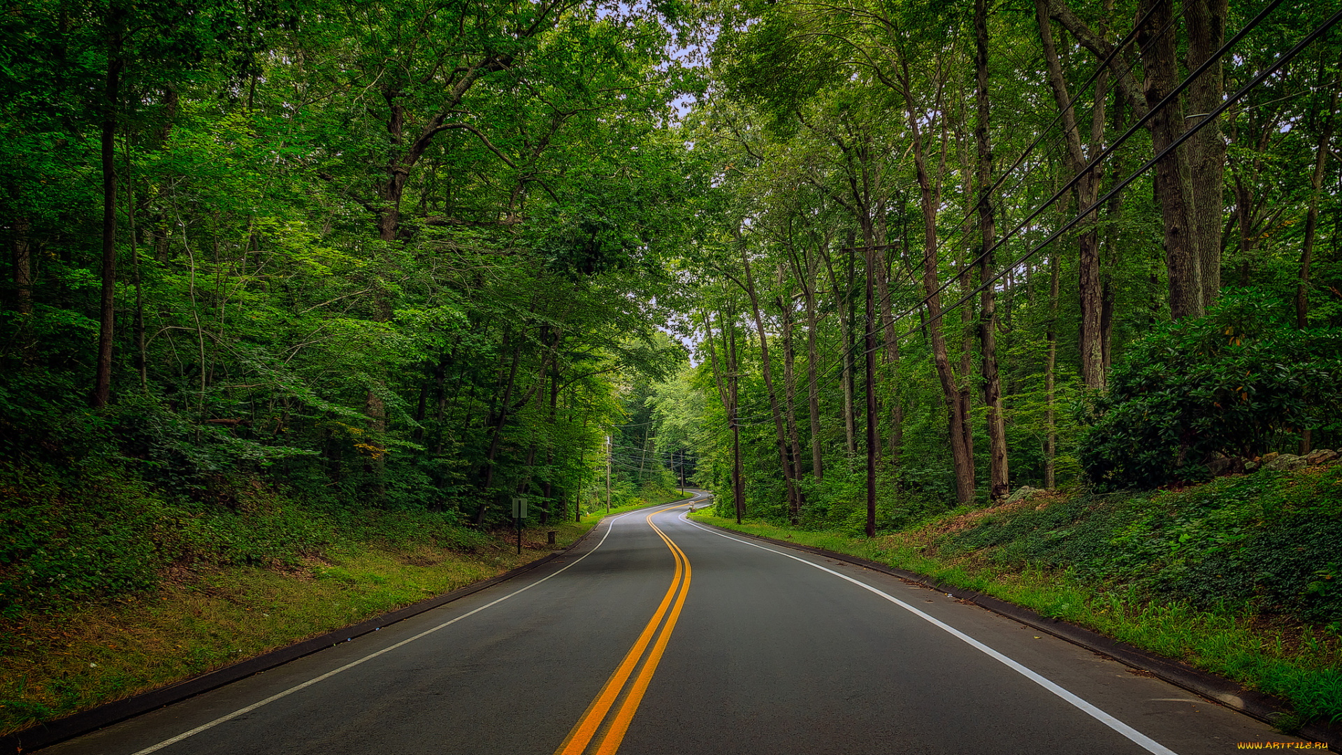 природа, дороги, простор