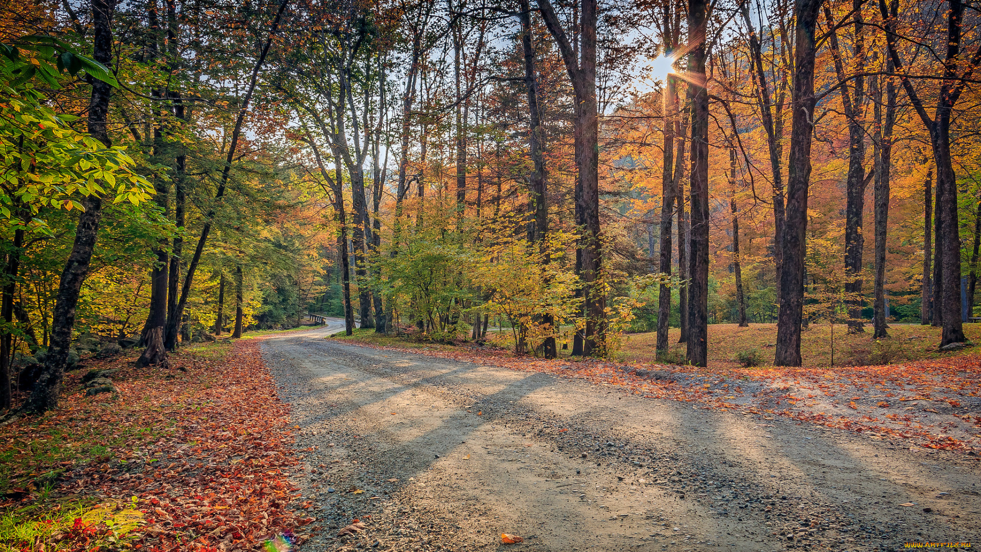 природа, дороги, простор