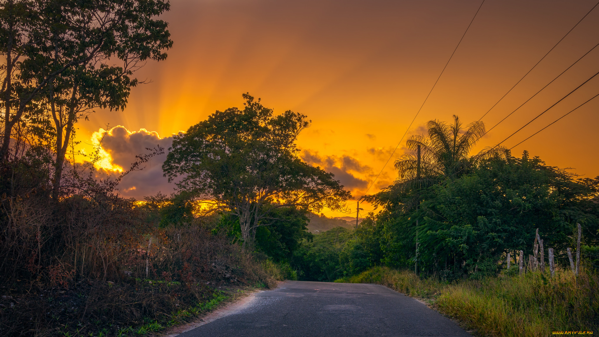 природа, дороги, простор