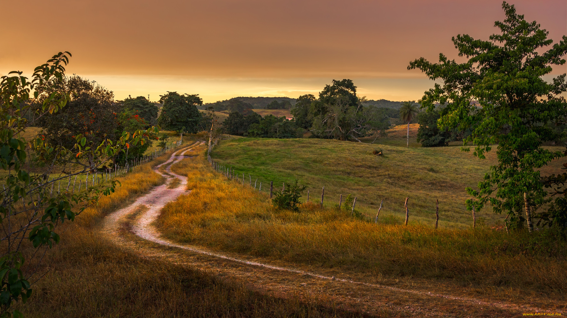 природа, дороги, простор