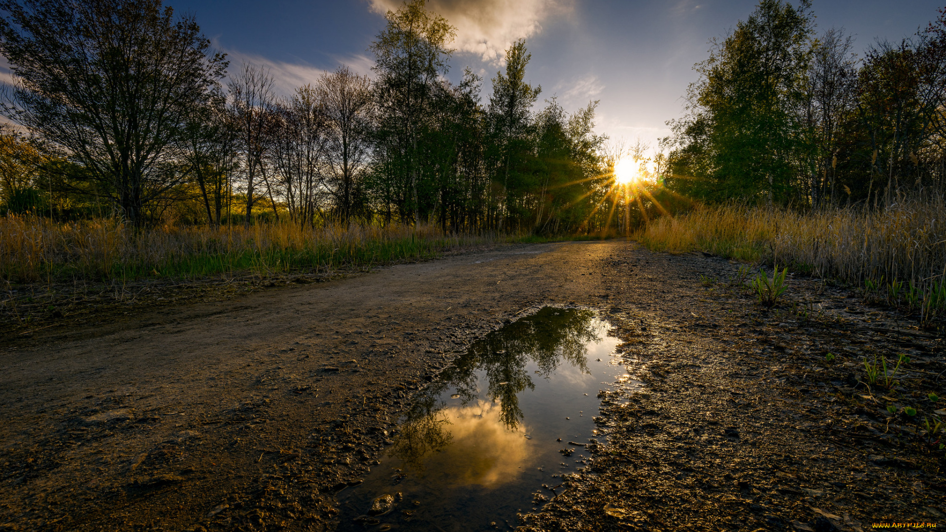 природа, дороги, простор