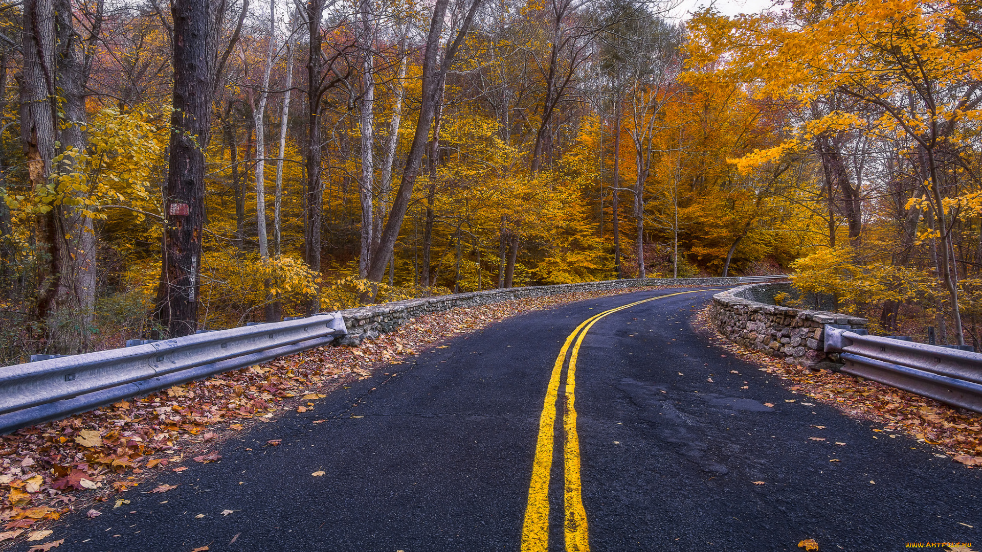 природа, дороги, простор