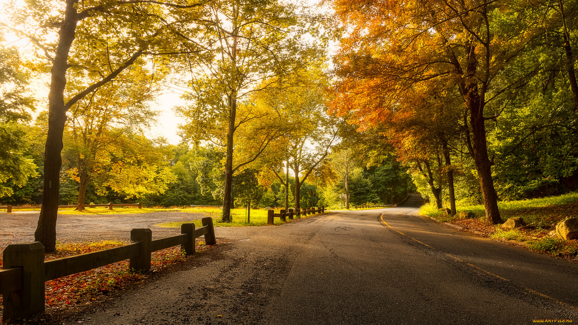 природа, дороги, простор