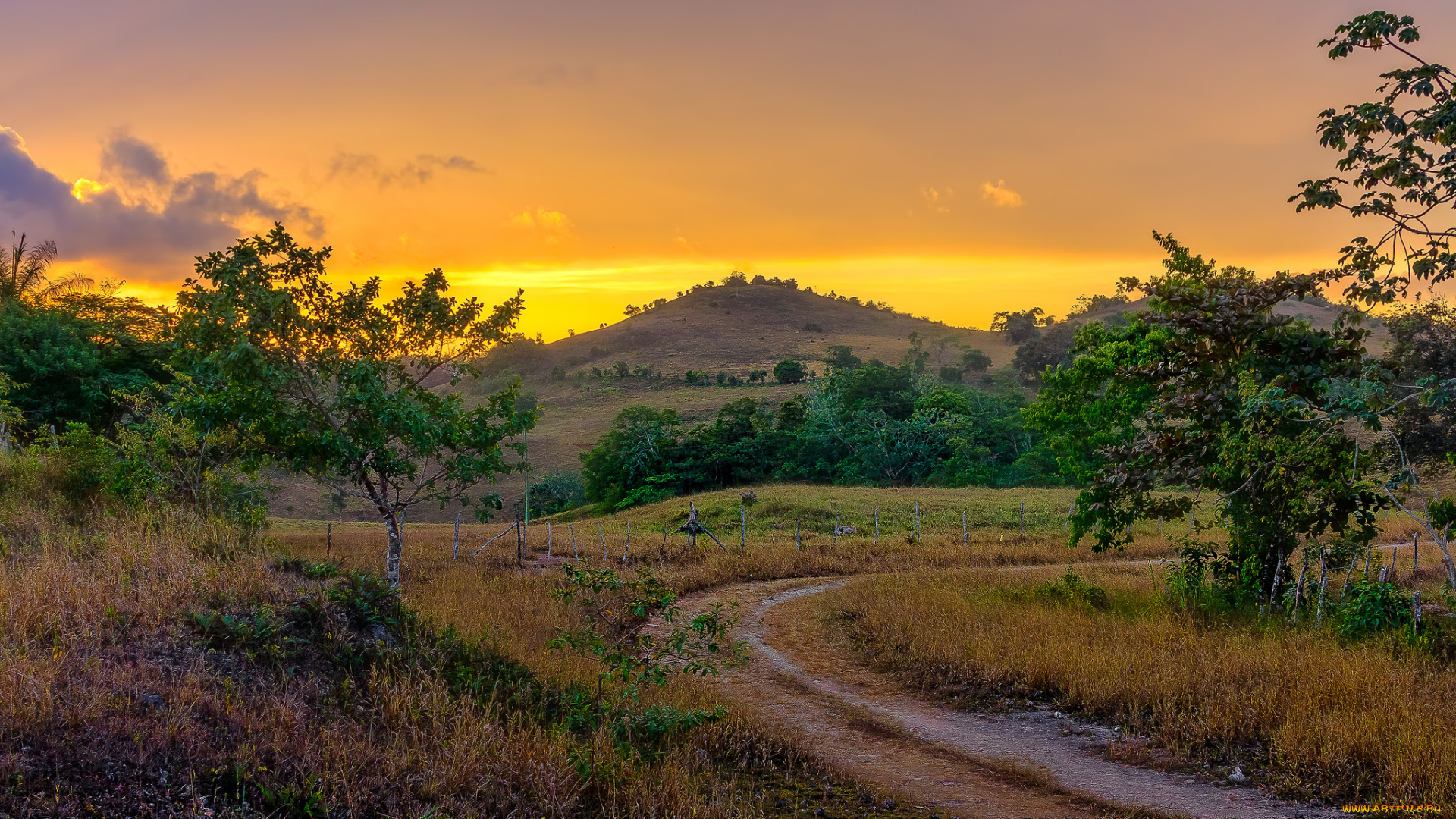 природа, дороги, простор