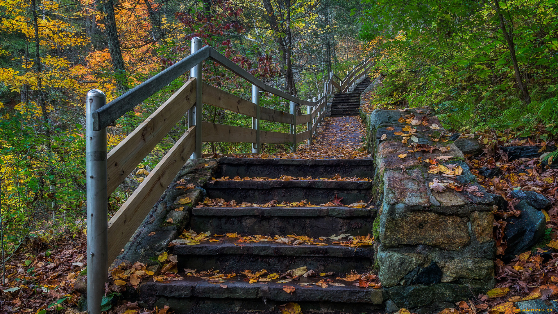 природа, дороги, простор