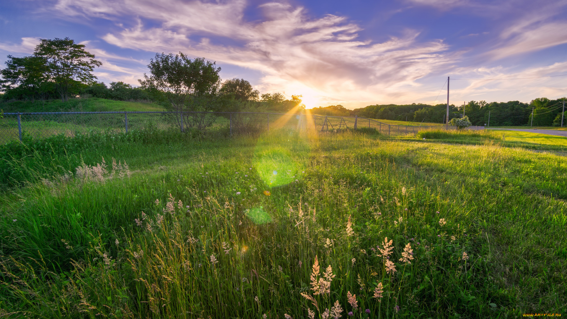 природа, луга, простор