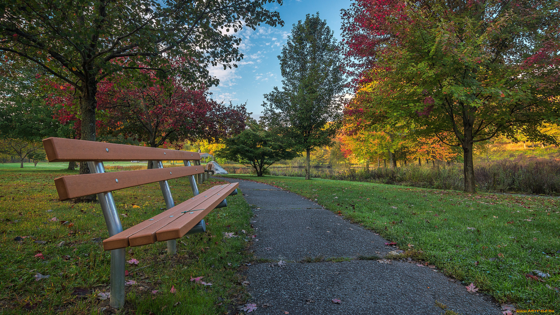 природа, парк, простор