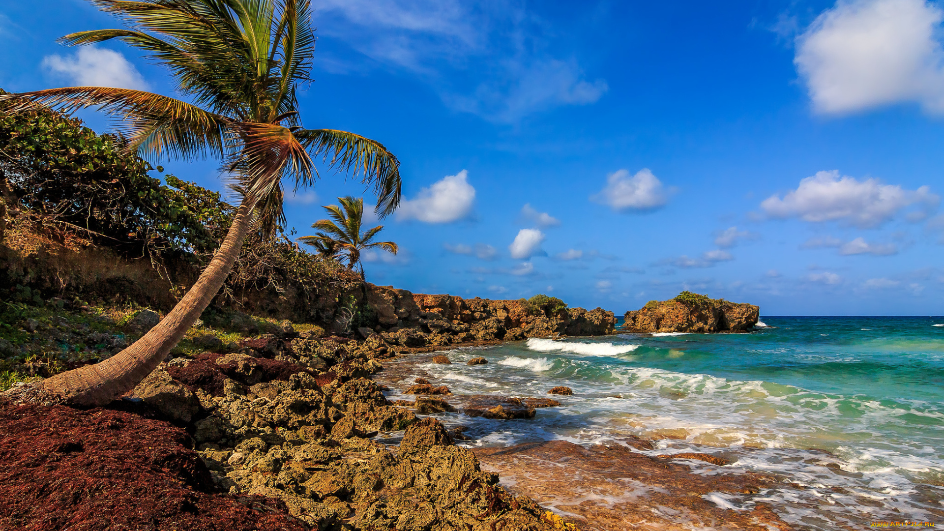 природа, побережье, простор