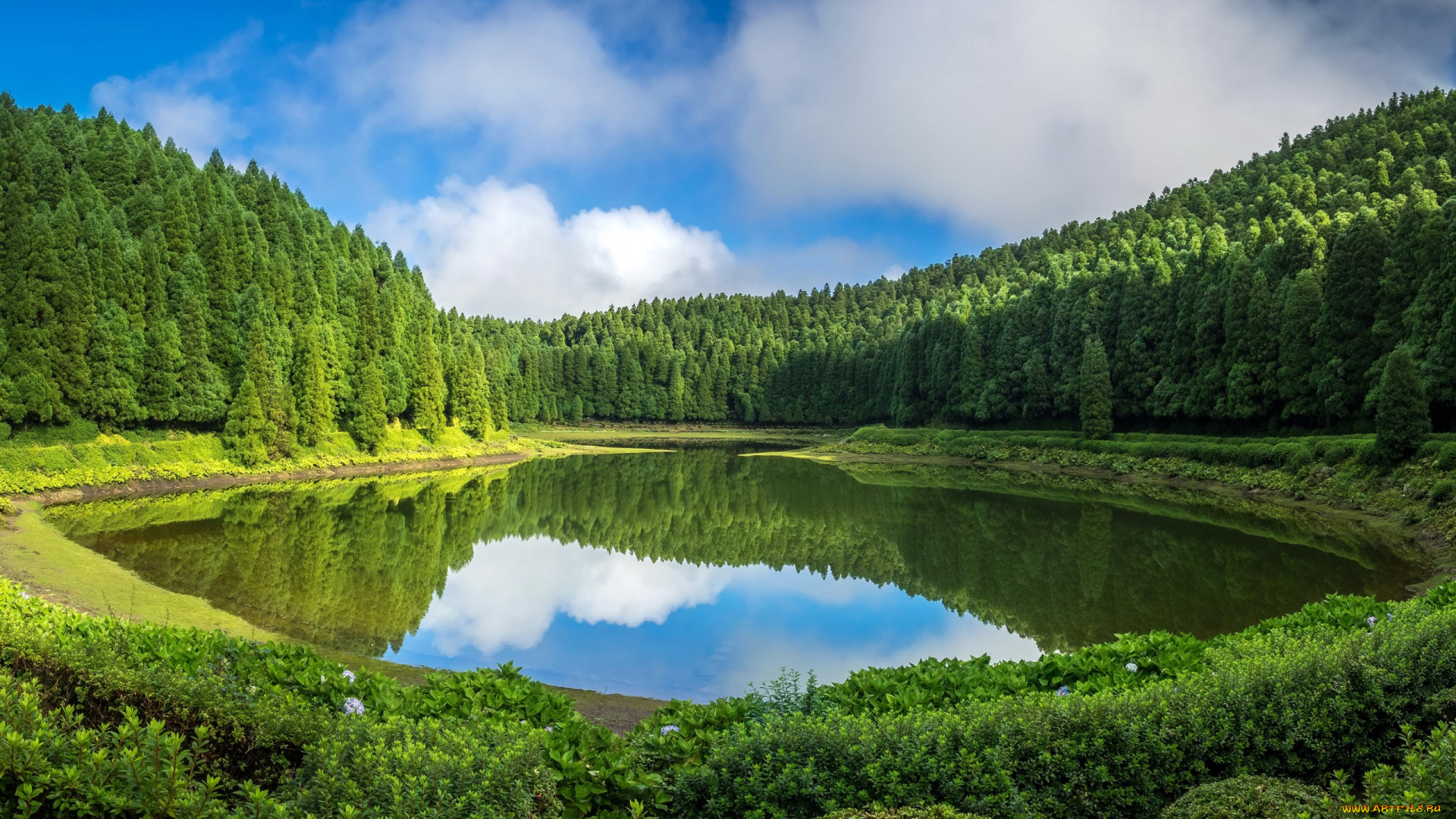 природа, реки, озера, облака, трава, небо, солнце, лес, зелень, вода, озеро, португалия, кусты, деревья, sao, miguel, отражение, azores
