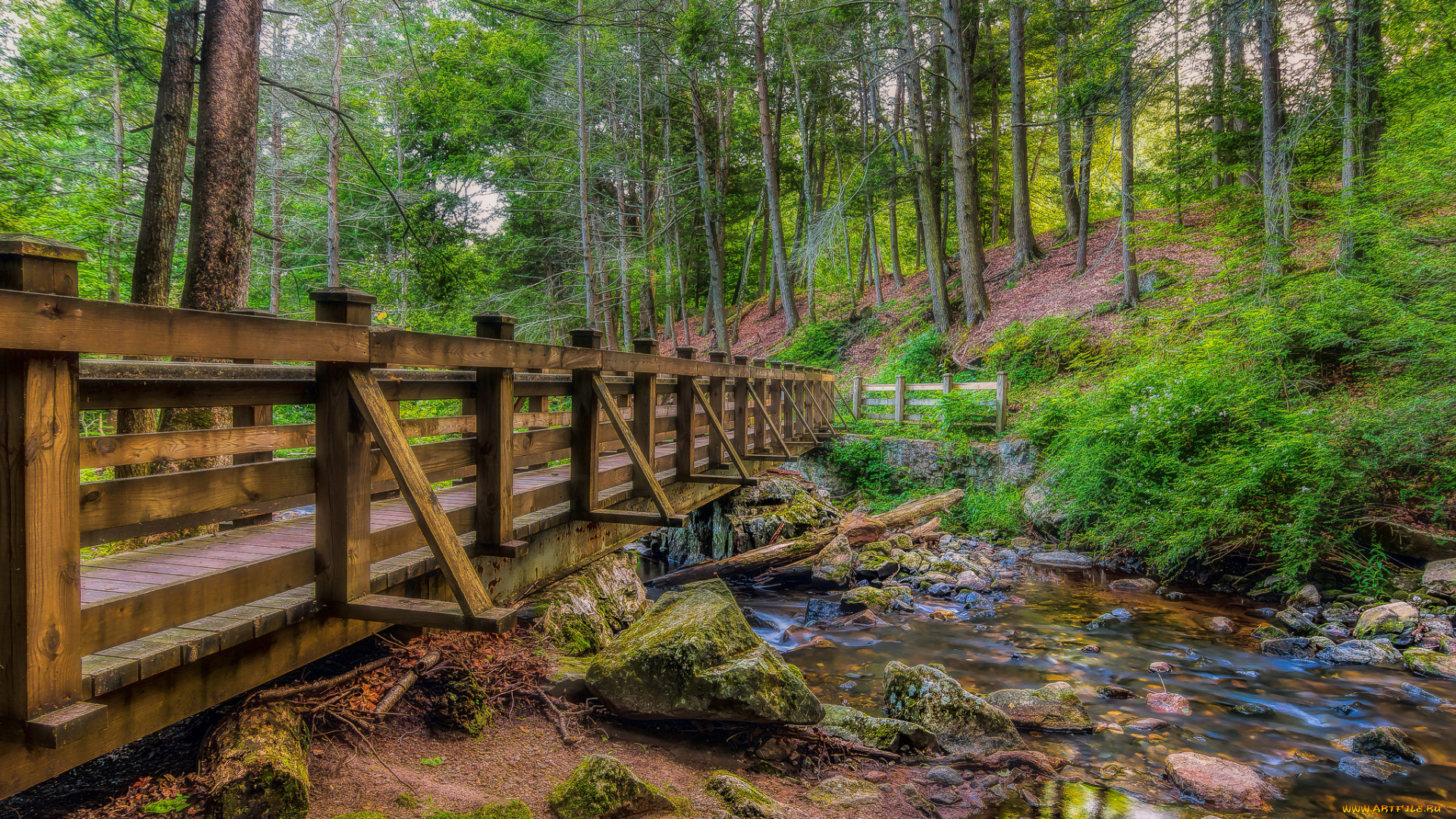 природа, реки, озера, простор