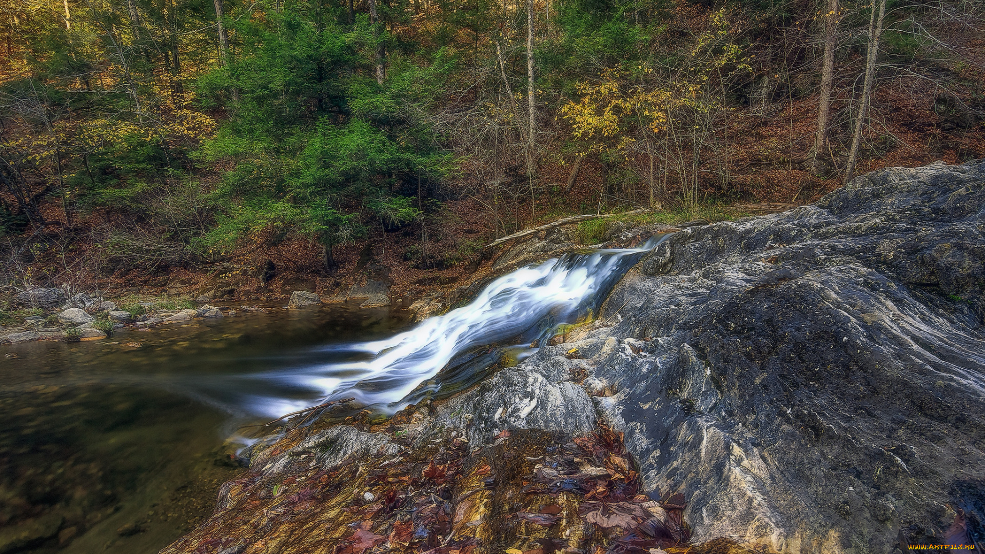 природа, реки, озера, простор