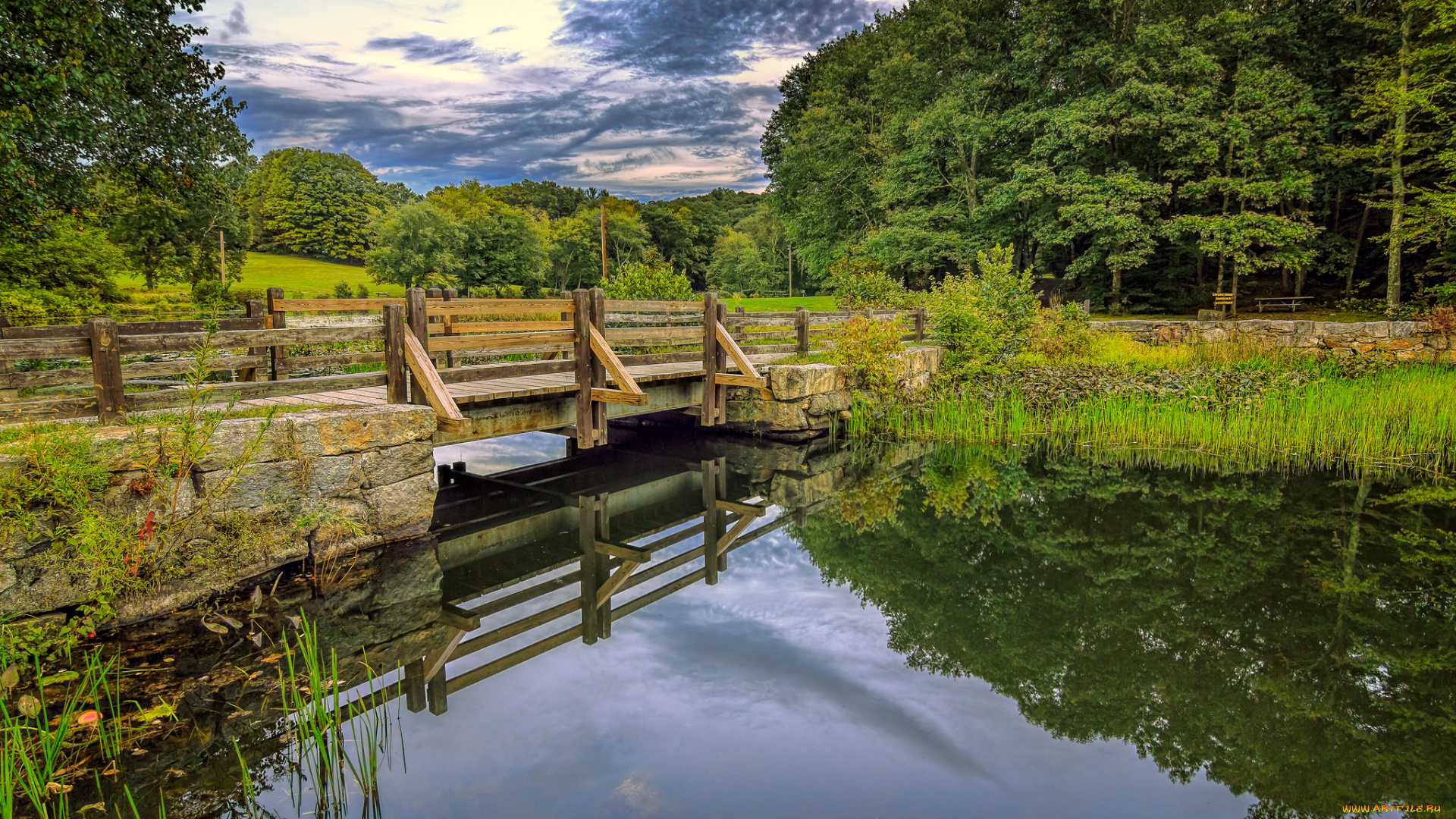 природа, реки, озера, простор