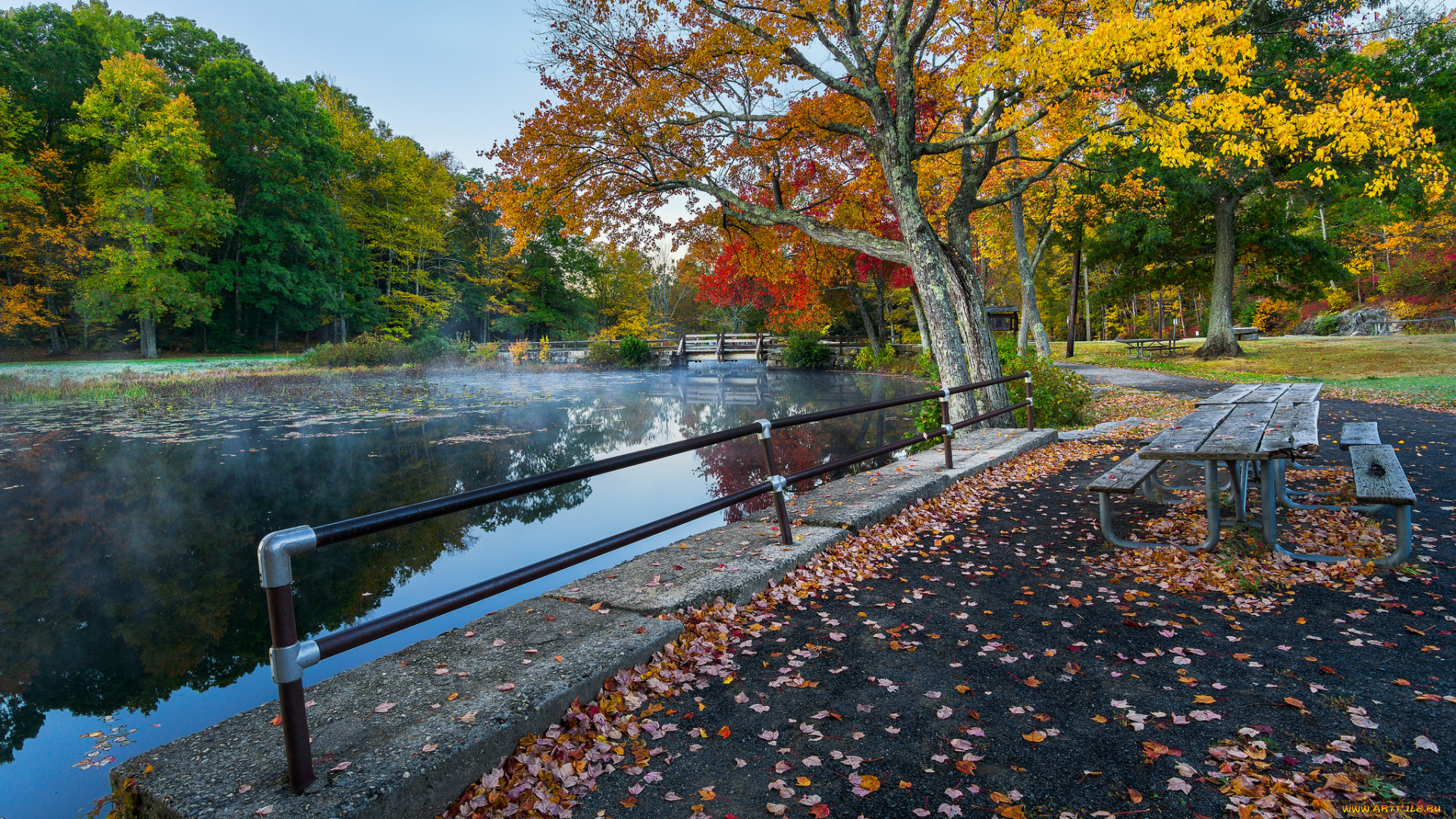 природа, реки, озера, простор