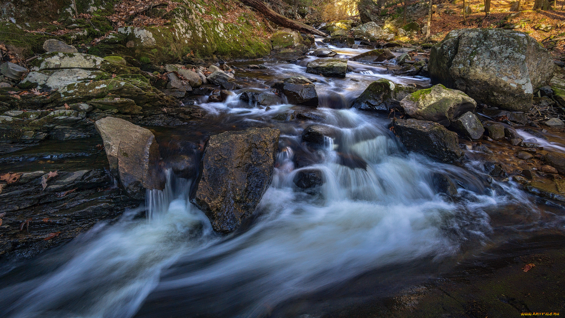 природа, реки, озера, простор