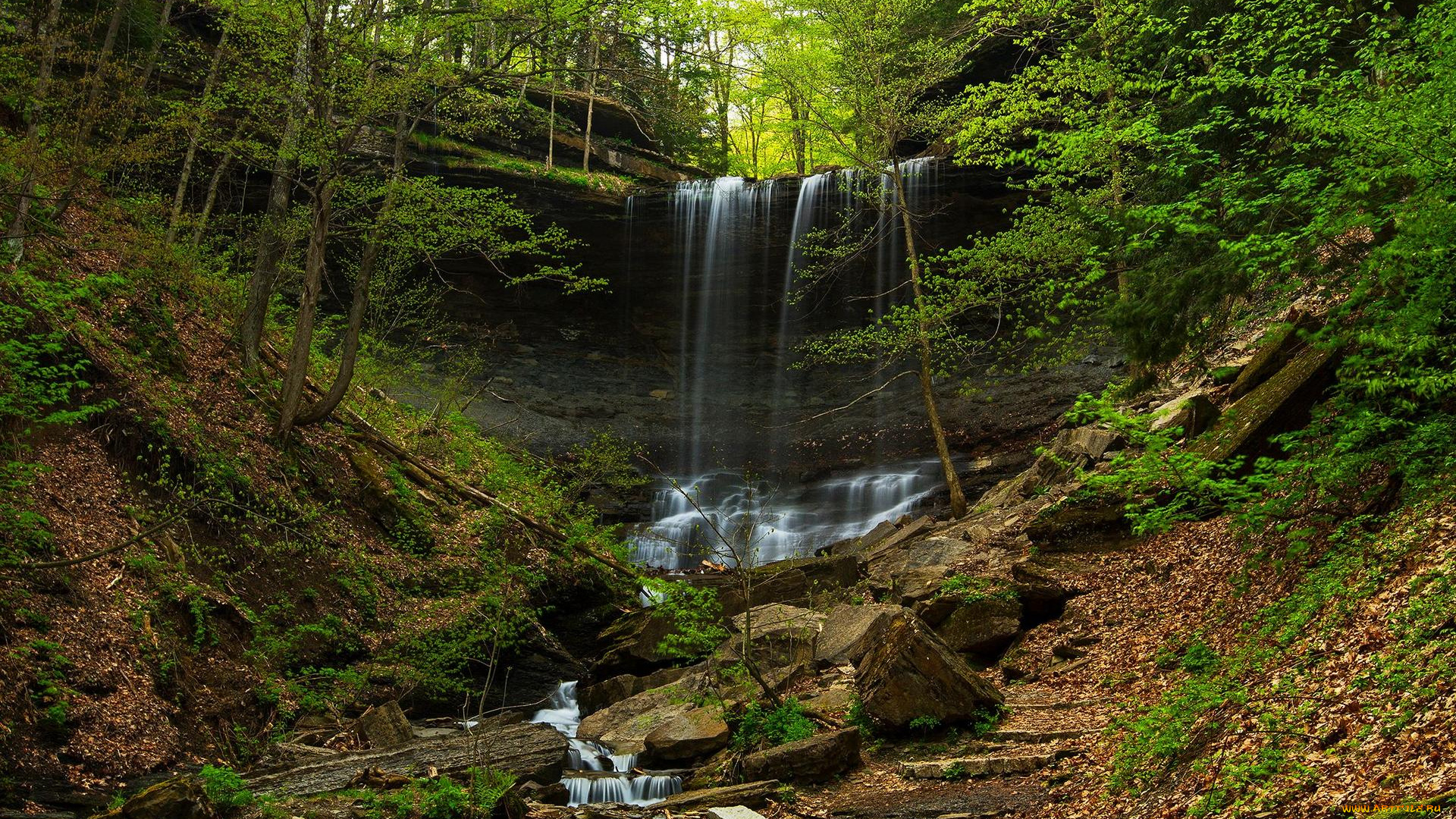 природа, водопады, лес, деревья, водопад, камни