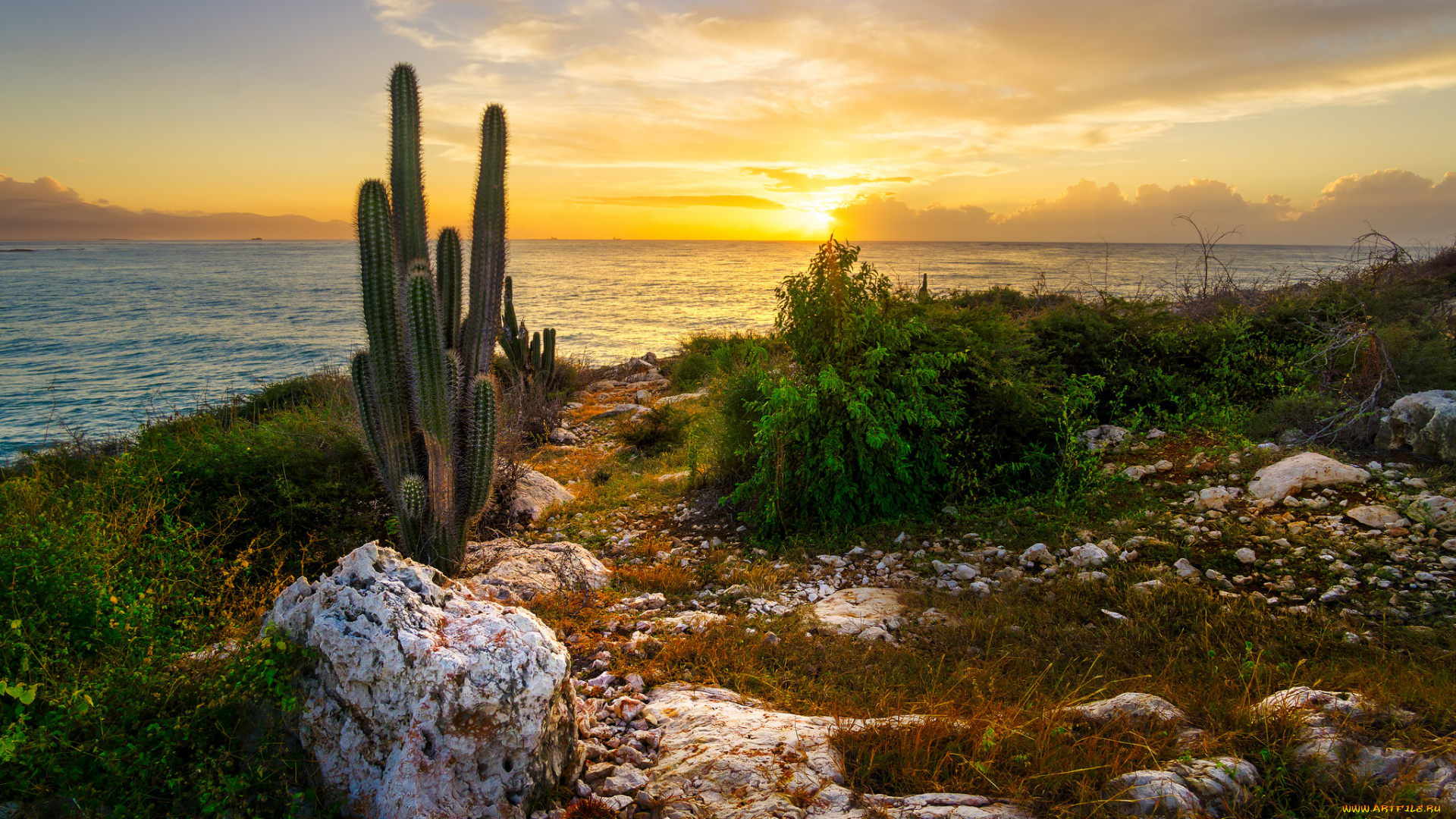 природа, восходы, закаты, простор