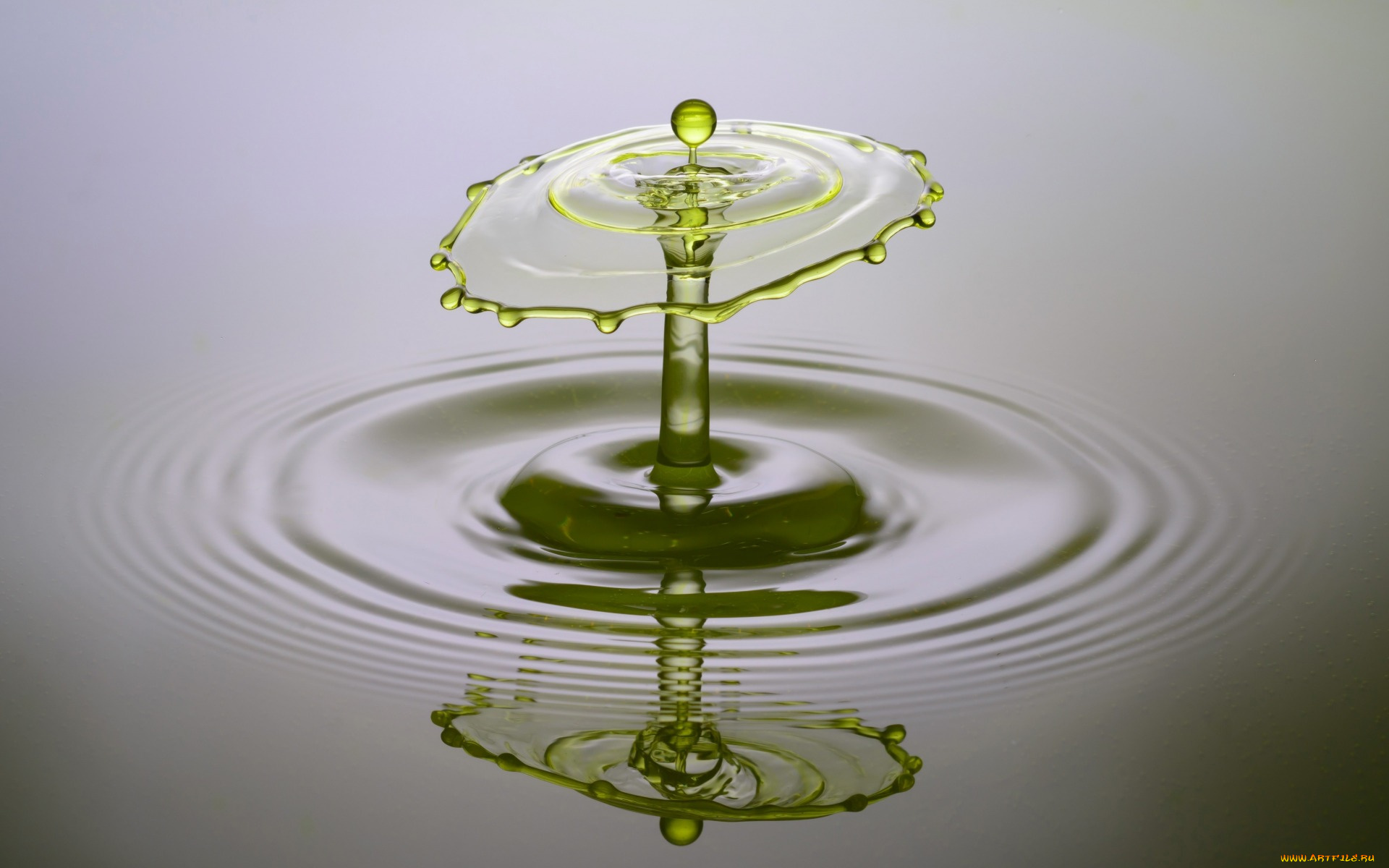 3д, графика, другое, , other, капли, брызги, жидкость, всплеск, круги