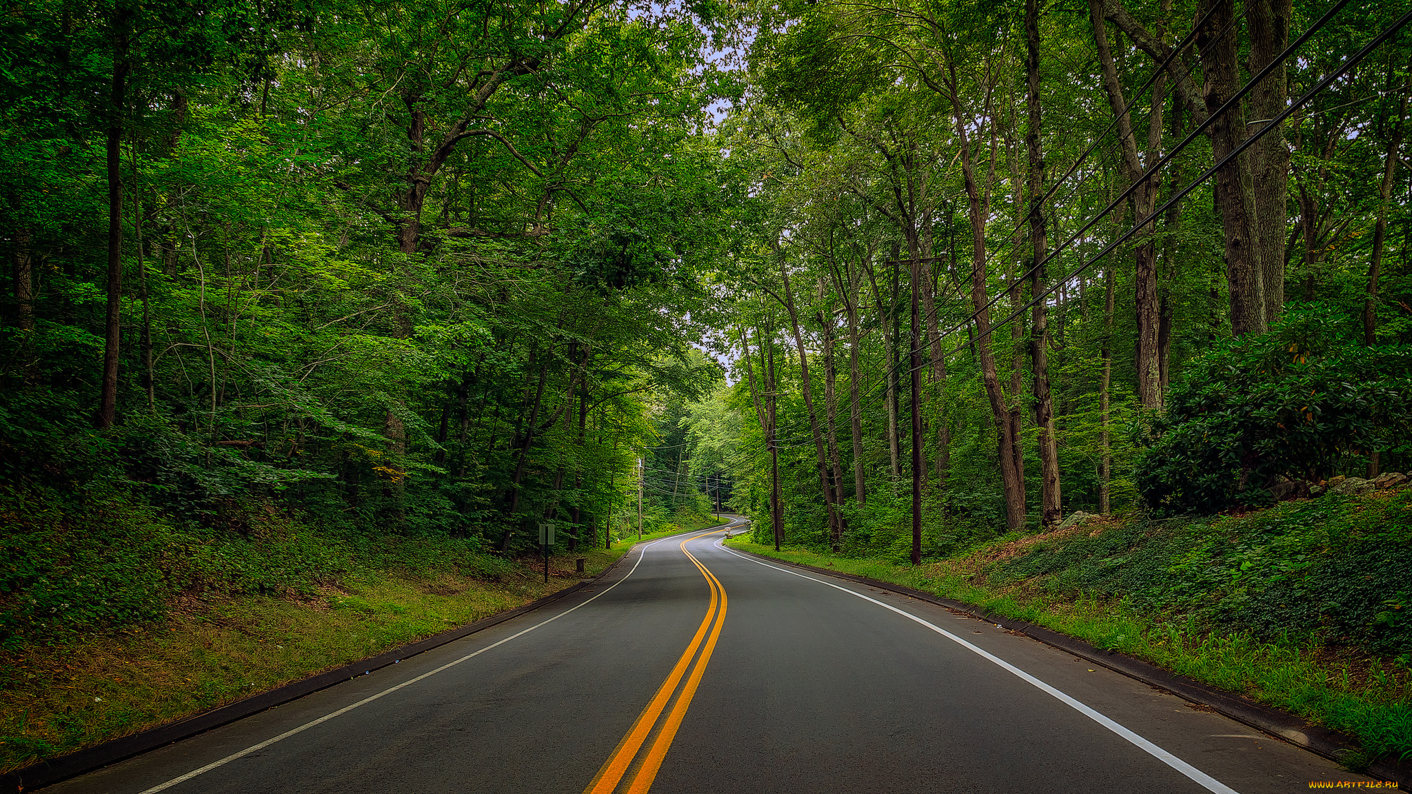 природа, дороги, простор