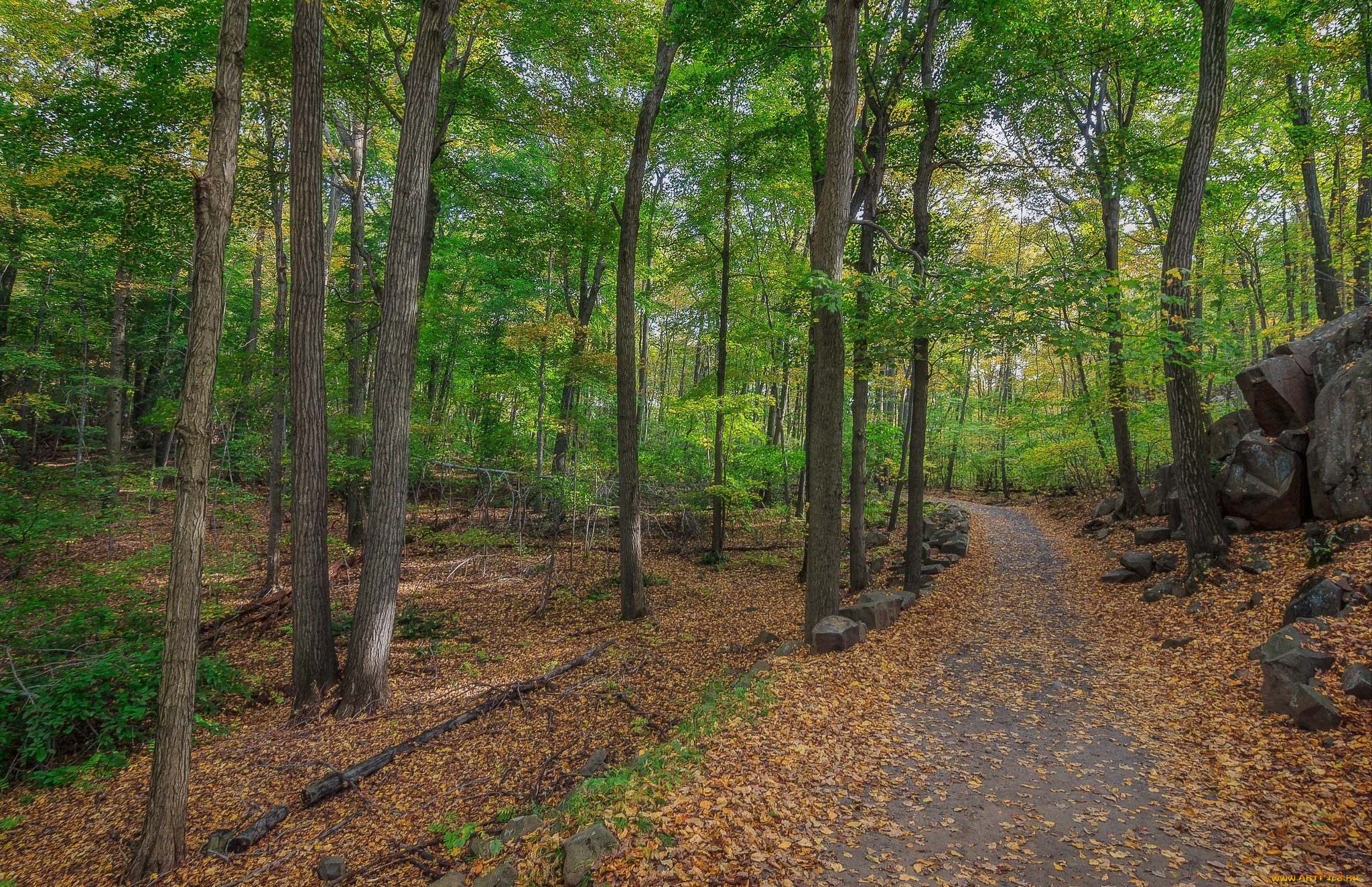 природа, дороги, простор