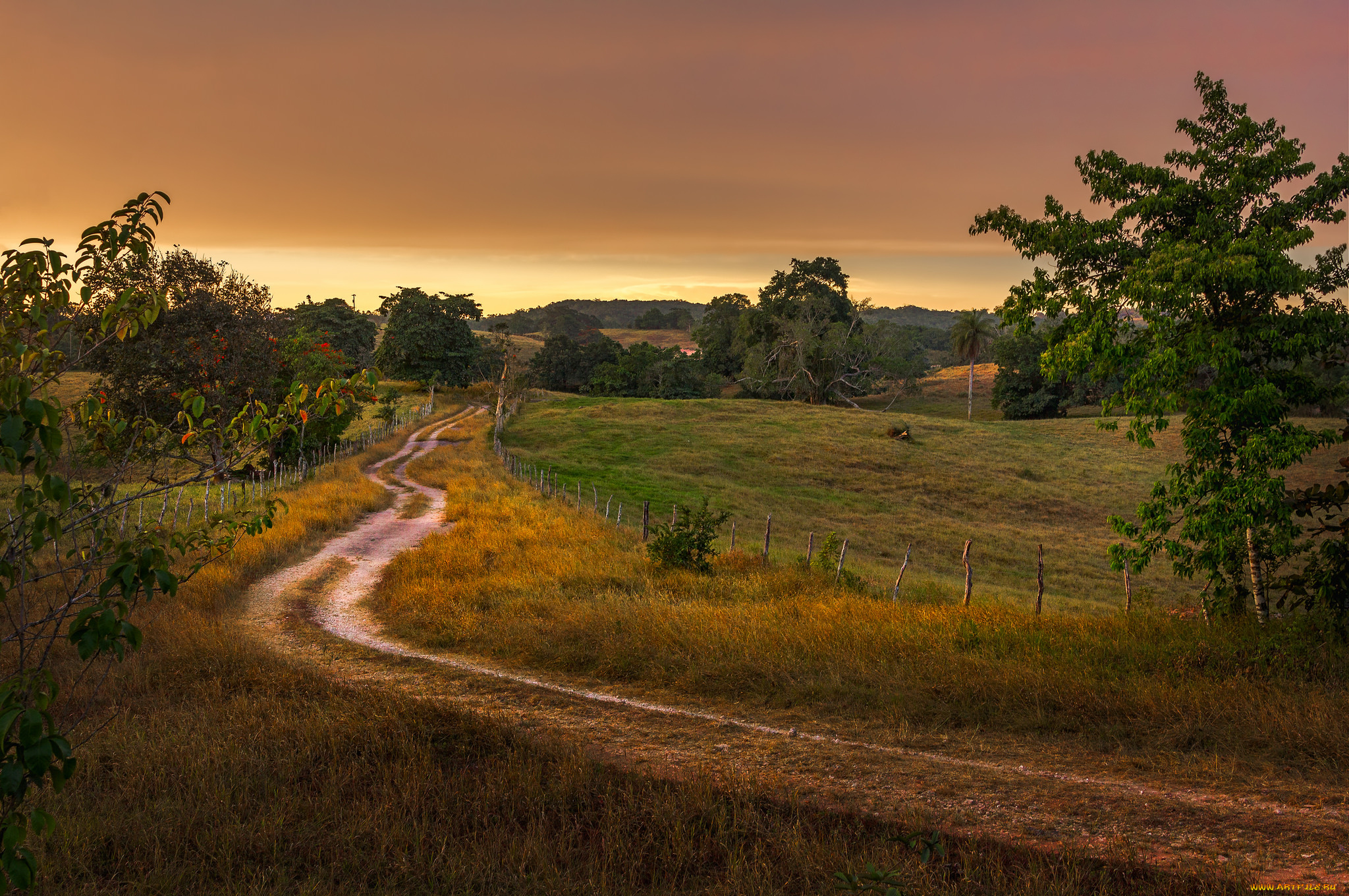 природа, дороги, простор