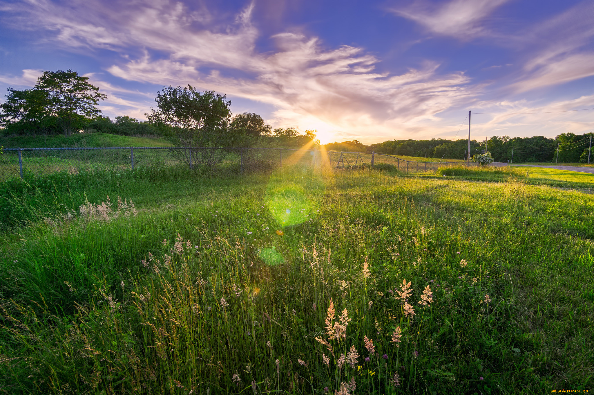 природа, луга, простор