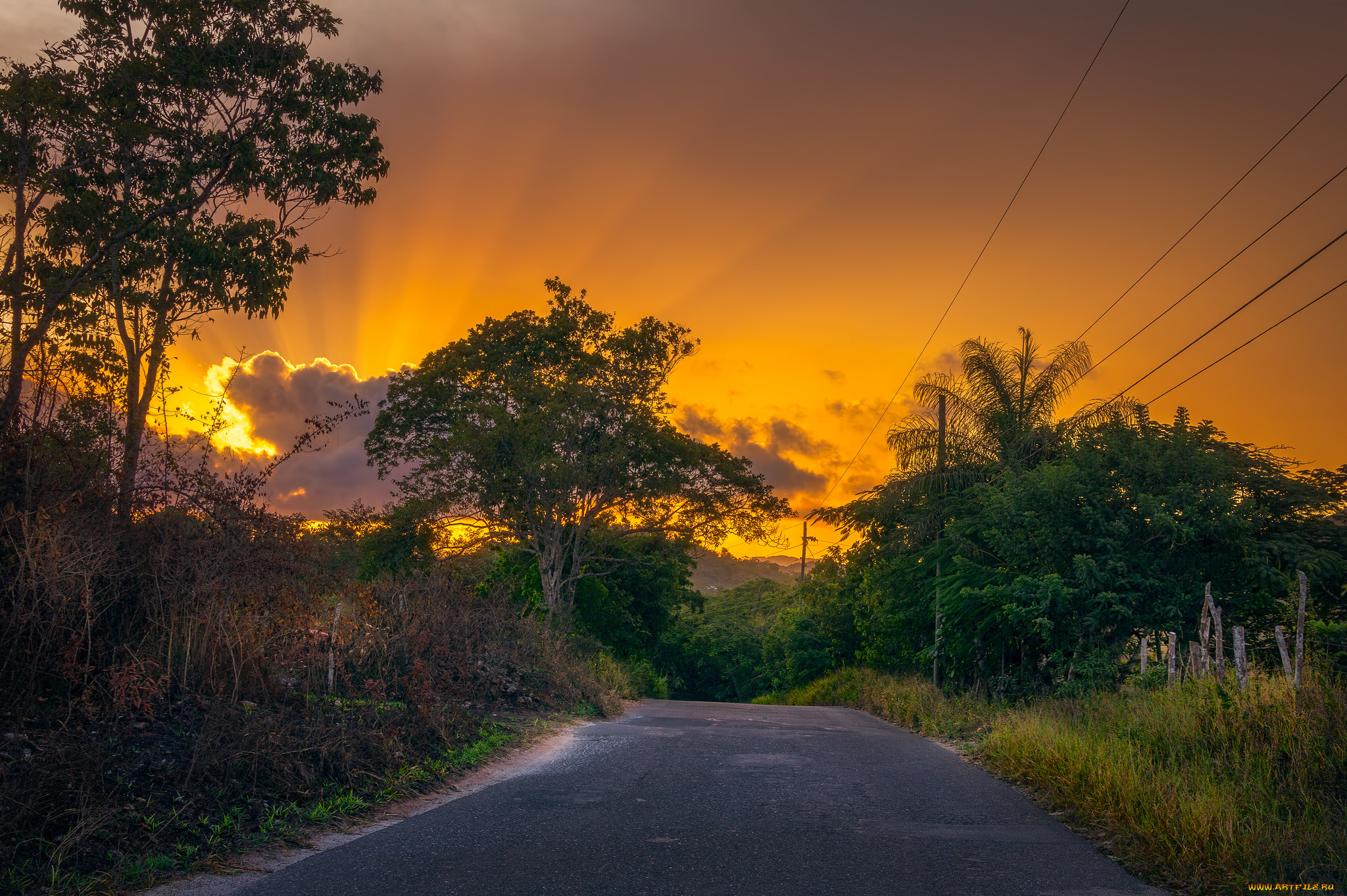 природа, дороги, простор