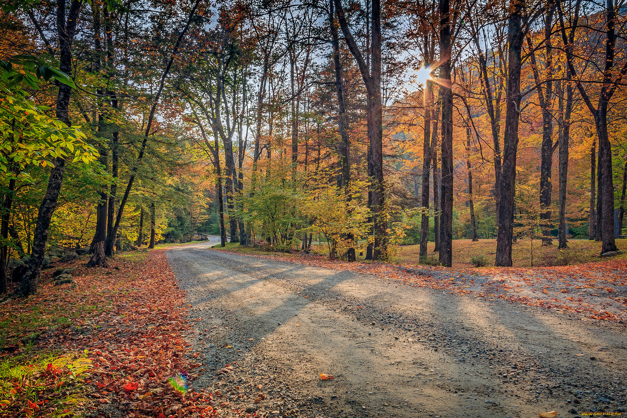 природа, дороги, простор