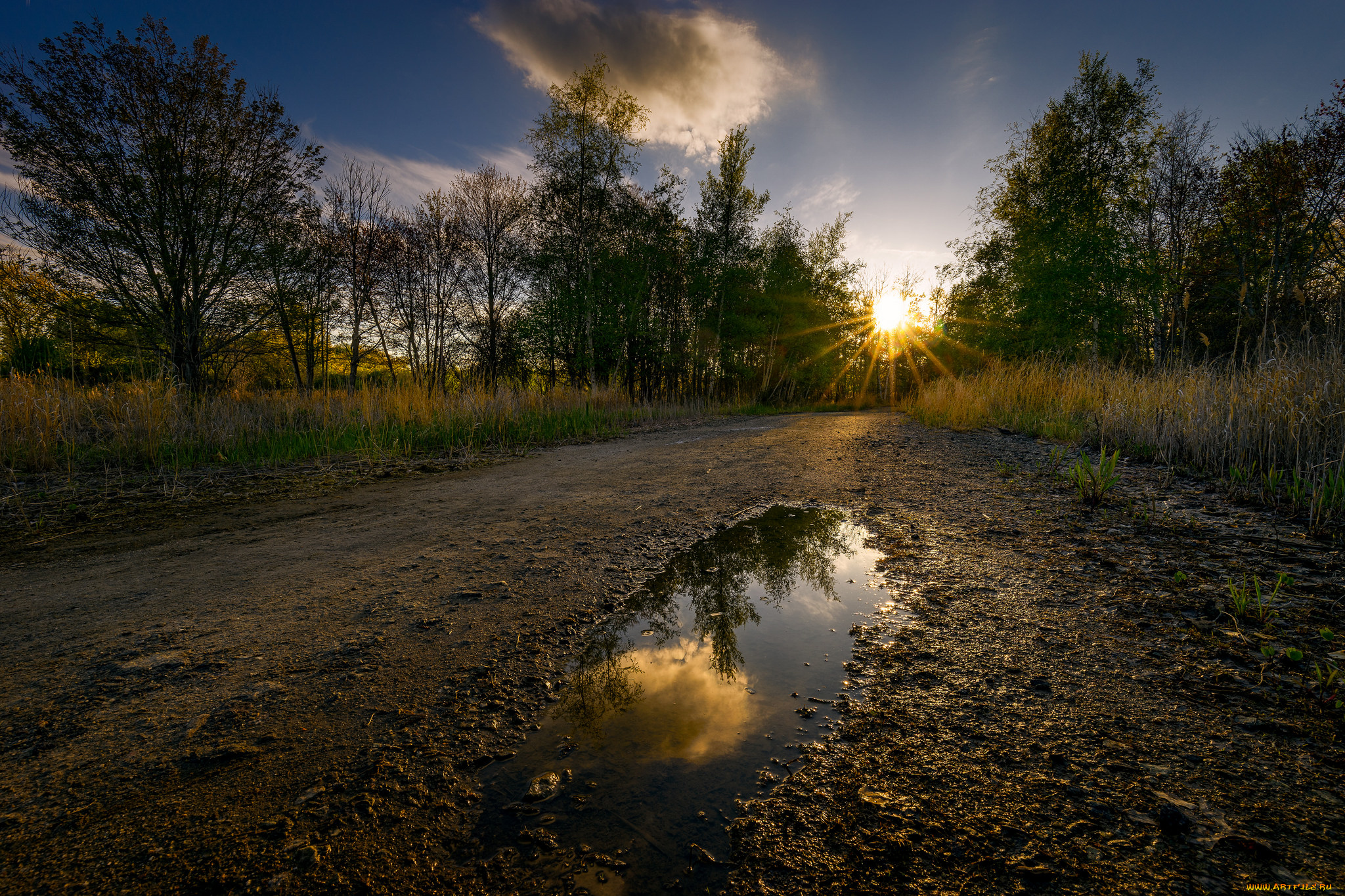 природа, дороги, простор