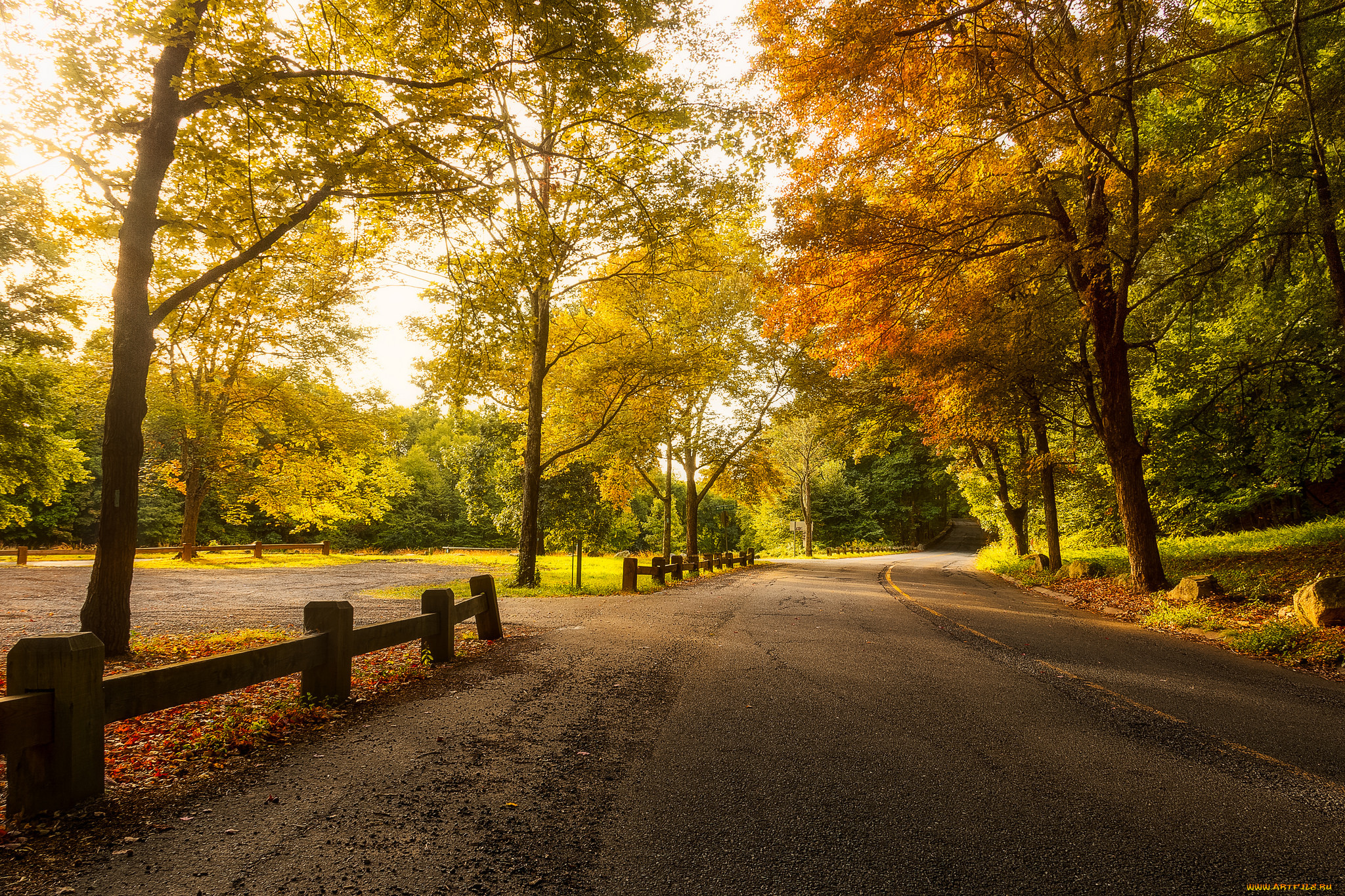 природа, дороги, простор