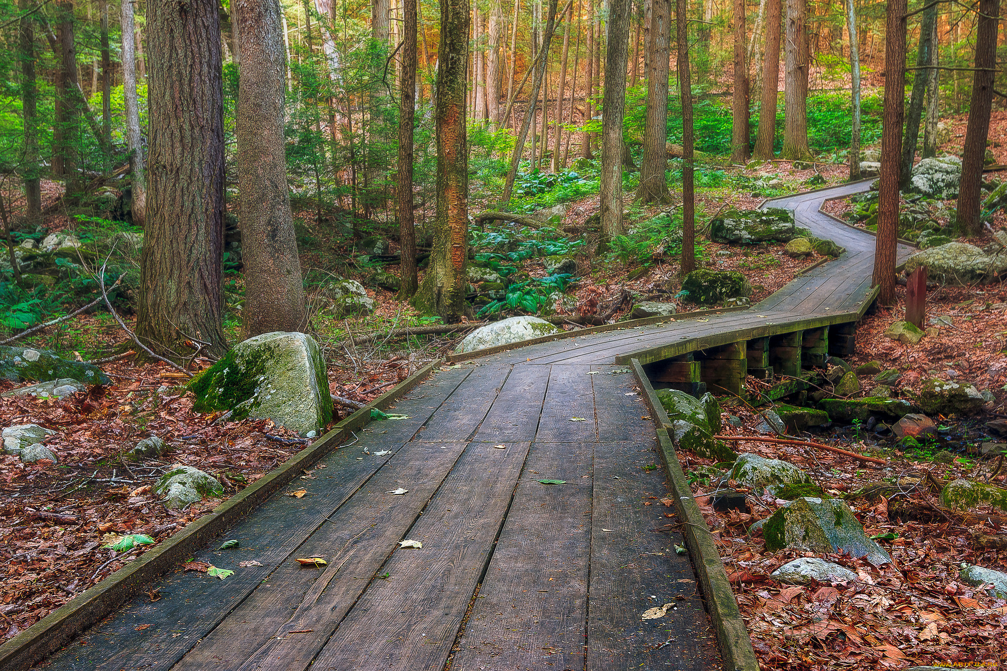 природа, дороги, простор